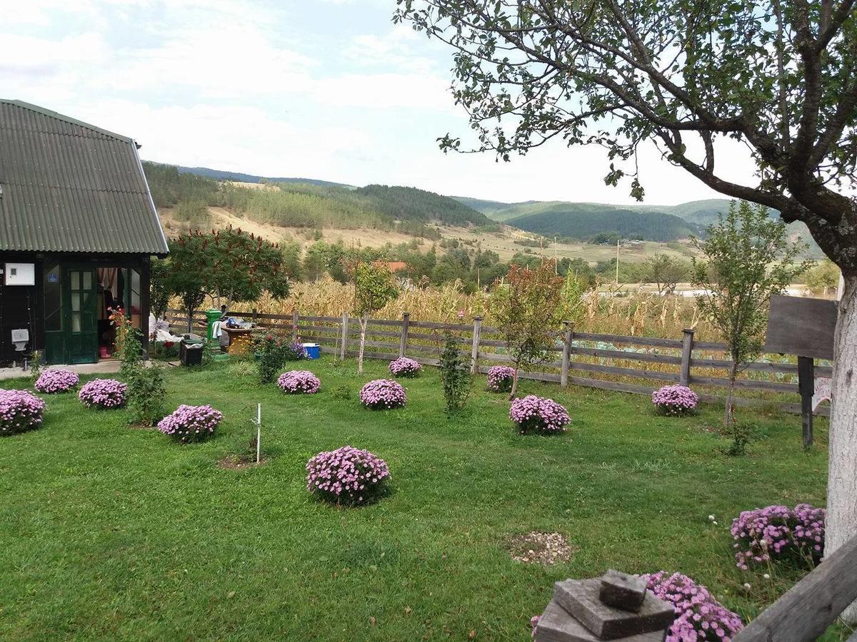 Holiday Home Vila Milka Kremna Exterior photo